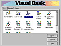  Visual Basic